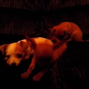 Meet your Posher, Ana